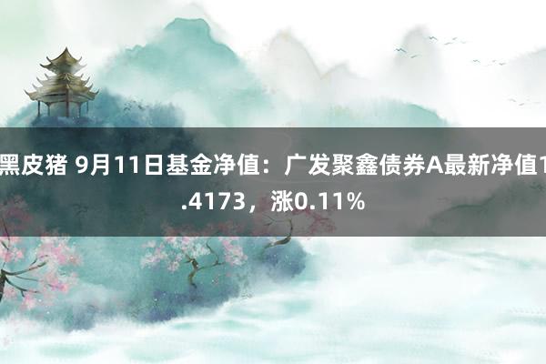 黑皮猪 9月11日基金净值：广发聚鑫债券A最新净值1.4173，涨0.11%