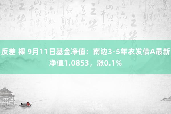 反差 裸 9月11日基金净值：南边3-5年农发债A最新净值1.0853，涨0.1%