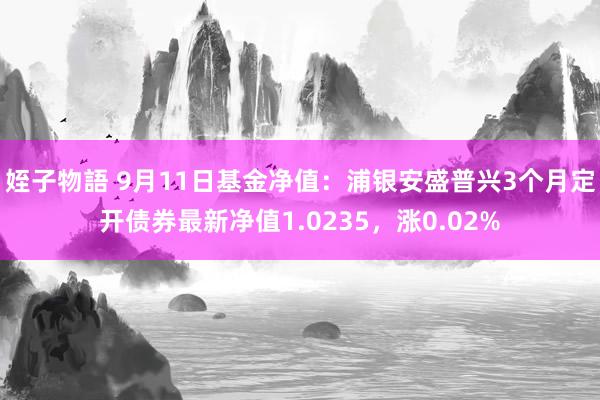 姪子物語 9月11日基金净值：浦银安盛普兴3个月定开债券最新净值1.0235，涨0.02%