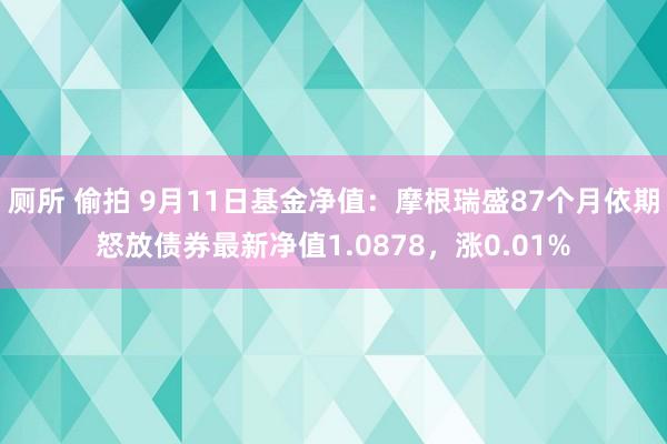 厕所 偷拍 9月11日基金净值：摩根瑞盛87个月依期怒放债券最新净值1.0878，涨0.01%