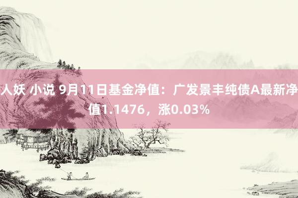 人妖 小说 9月11日基金净值：广发景丰纯债A最新净值1.1476，涨0.03%