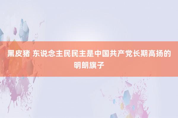 黑皮猪 东说念主民民主是中国共产党长期高扬的明朗旗子