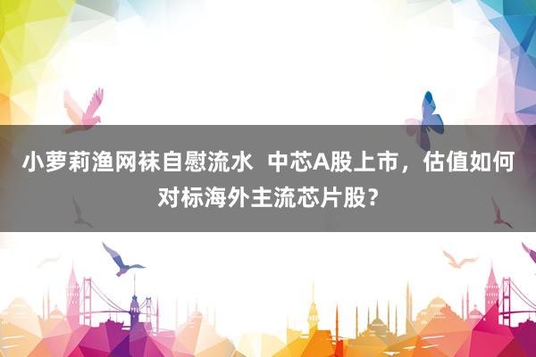 小萝莉渔网袜自慰流水  中芯A股上市，估值如何对标海外主流芯片股？