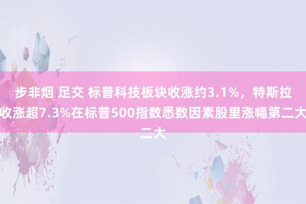 步非烟 足交 标普科技板块收涨约3.1%，特斯拉收涨超7.3%在标普500指数悉数因素股里涨幅第二大