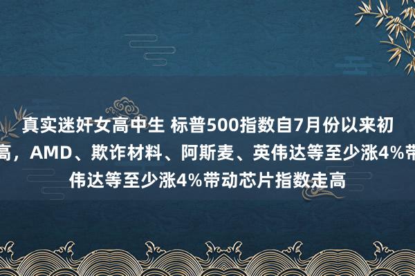 真实迷奸女高中生 标普500指数自7月份以来初次创收盘历史新高，AMD、欺诈材料、阿斯麦、英伟达等至少涨4%带动芯片指数走高