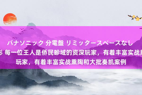 パナソニック 分電盤 リミッタースペースなし 露出・半埋込両用形 每一位王人是侨民畛域的资深玩家，有着丰富实战熏陶和大批奏凯案例