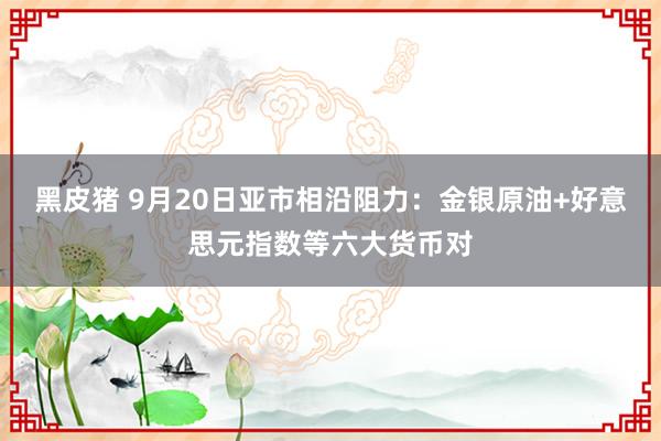 黑皮猪 9月20日亚市相沿阻力：金银原油+好意思元指数等六大货币对