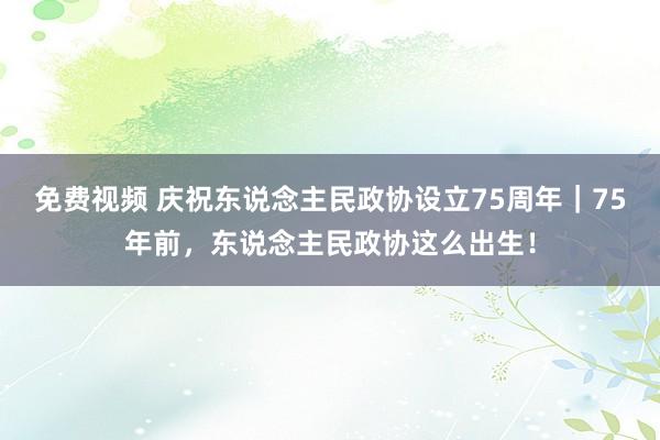 免费视频 庆祝东说念主民政协设立75周年｜75年前，东说念主民政协这么出生！