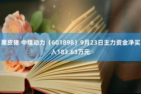 黑皮猪 中煤动力（601898）9月23日主力资金净买入183.63万元