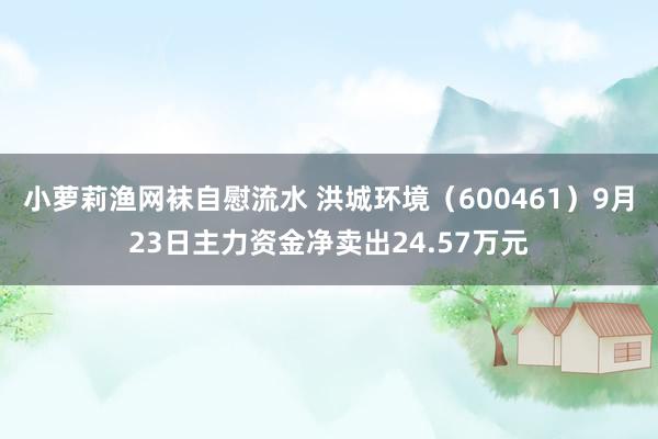 小萝莉渔网袜自慰流水 洪城环境（600461）9月23日主力资金净卖出24.57万元