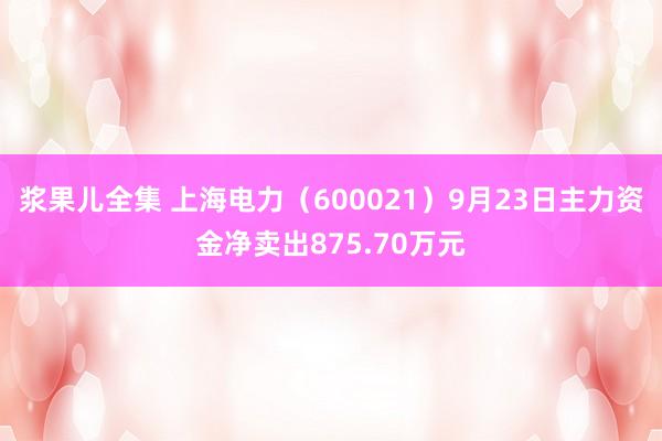 浆果儿全集 上海电力（600021）9月23日主力资金净卖出875.70万元