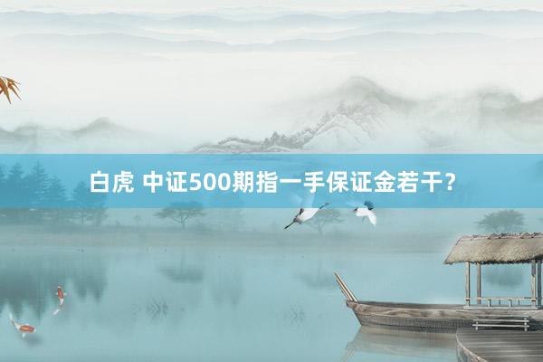 白虎 中证500期指一手保证金若干？