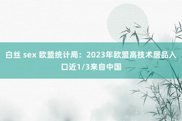 白丝 sex 欧盟统计局：2023年欧盟高技术居品入口近1/3来自中国