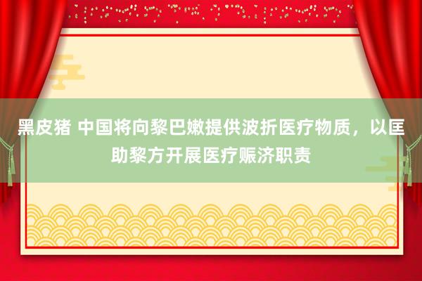 黑皮猪 中国将向黎巴嫩提供波折医疗物质，以匡助黎方开展医疗赈济职责