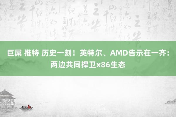 巨屌 推特 历史一刻！英特尔、AMD告示在一齐：两边共同捍卫x86生态