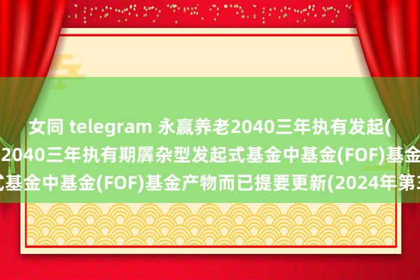 女同 telegram 永赢养老2040三年执有发起(FOF): 永赢养老方针日历2040三年执有期羼杂型发起式基金中基金(FOF)基金产物而已提要更新(2024年第3号)