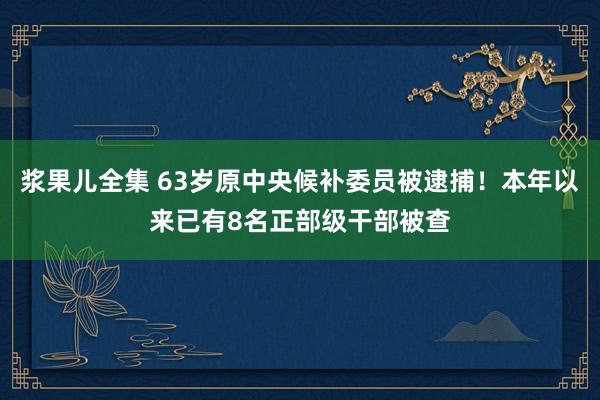 浆果儿全集 63岁原中央候补委员被逮捕！本年以来已有8名正部级干部被查