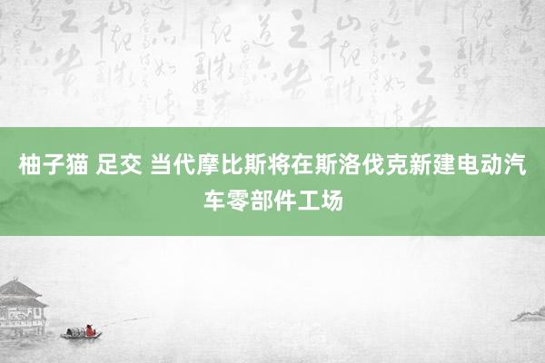 柚子猫 足交 当代摩比斯将在斯洛伐克新建电动汽车零部件工场