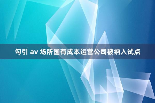 勾引 av 场所国有成本运营公司被纳入试点