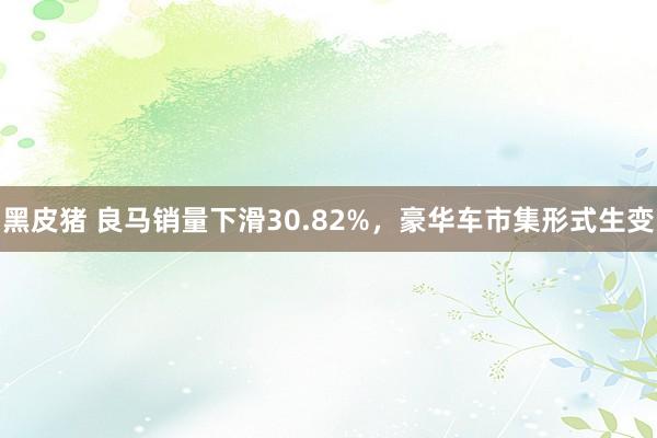 黑皮猪 良马销量下滑30.82%，豪华车市集形式生变