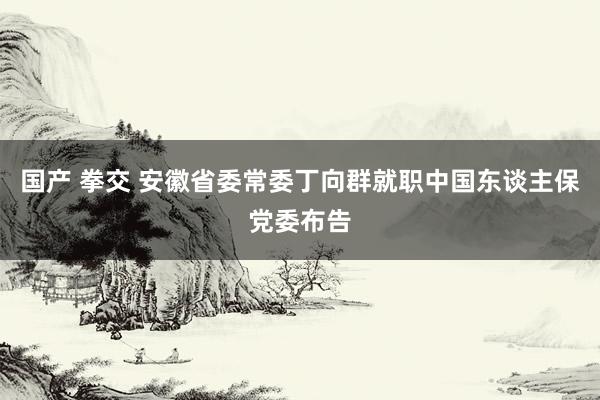 国产 拳交 安徽省委常委丁向群就职中国东谈主保党委布告