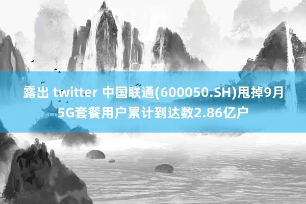 露出 twitter 中国联通(600050.SH)甩掉9月5G套餐用户累计到达数2.86亿户