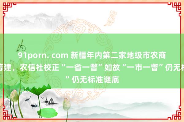 91porn. com 新疆年内第二家地级市农商行获批筹建，农信社校正“一省一瞥”如故“一市一瞥”仍无标准谜底