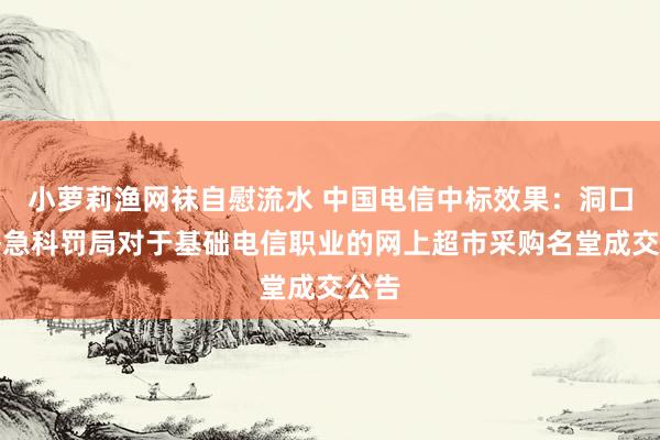 小萝莉渔网袜自慰流水 中国电信中标效果：洞口县济急科罚局对于基础电信职业的网上超市采购名堂成交公告