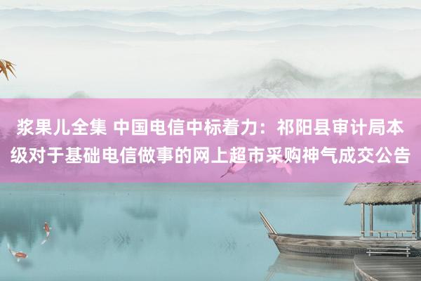 浆果儿全集 中国电信中标着力：祁阳县审计局本级对于基础电信做事的网上超市采购神气成交公告