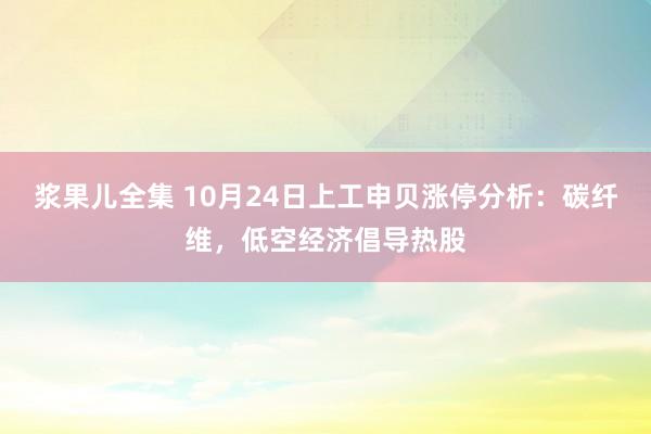 浆果儿全集 10月24日上工申贝涨停分析：碳纤维，低空经济倡导热股