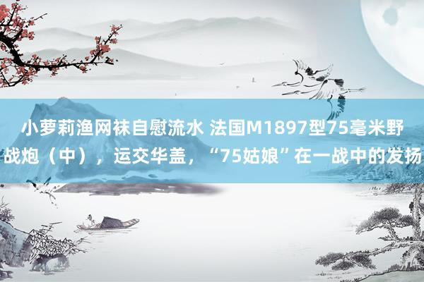 小萝莉渔网袜自慰流水 法国M1897型75毫米野战炮（中），运交华盖，“75姑娘”在一战中的发扬