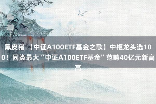 黑皮猪 【中证A100ETF基金之歌】中枢龙头选100！同类最大“中证A100ETF基金”范畴40亿元新高