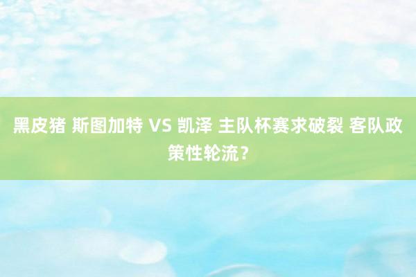 黑皮猪 斯图加特 VS 凯泽 主队杯赛求破裂 客队政策性轮流？