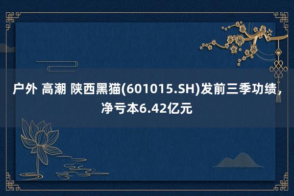 户外 高潮 陕西黑猫(601015.SH)发前三季功绩，净亏本6.42亿元