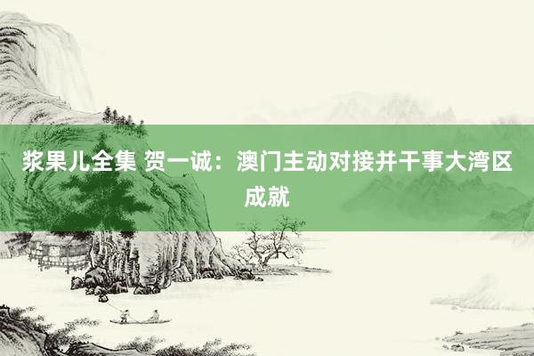 浆果儿全集 贺一诚：澳门主动对接并干事大湾区成就