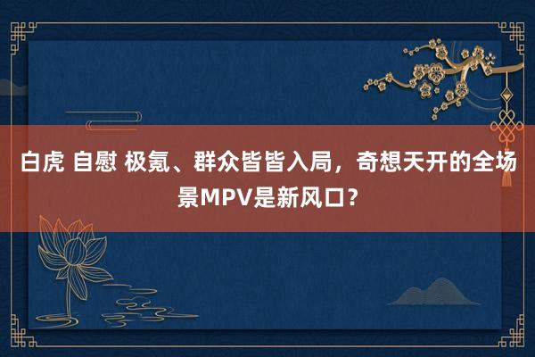 白虎 自慰 极氪、群众皆皆入局，奇想天开的全场景MPV是新风口？