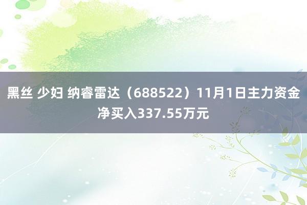 黑丝 少妇 纳睿雷达（688522）11月1日主力资金净买入337.55万元