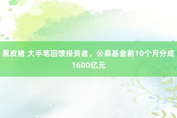 黑皮猪 大手笔回馈投资者，公募基金前10个月分成1600亿元