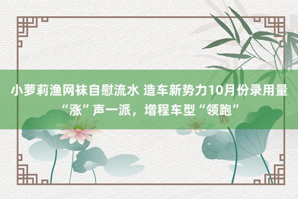 小萝莉渔网袜自慰流水 造车新势力10月份录用量“涨”声一派，增程车型“领跑”