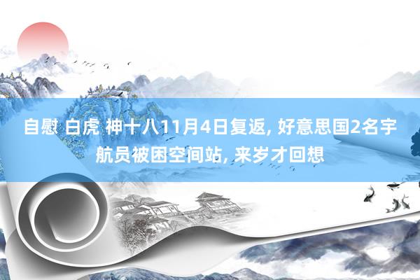 自慰 白虎 神十八11月4日复返， 好意思国2名宇航员被困空间站， 来岁才回想