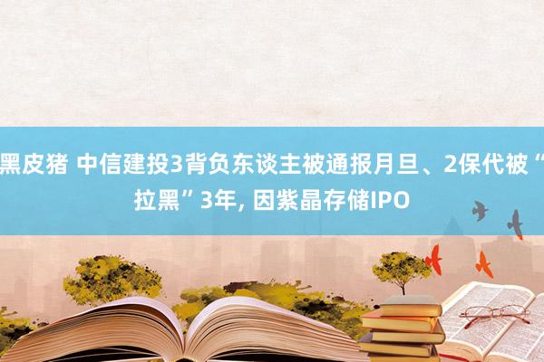 黑皮猪 中信建投3背负东谈主被通报月旦、2保代被“拉黑”3年， 因紫晶存储IPO