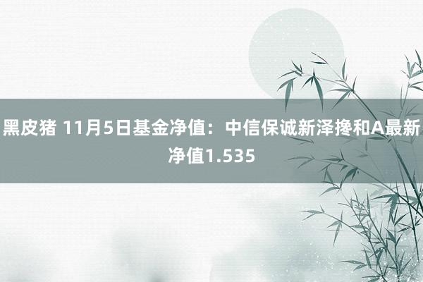 黑皮猪 11月5日基金净值：中信保诚新泽搀和A最新净值1.535