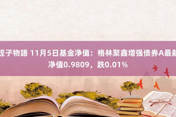 姪子物語 11月5日基金净值：格林聚鑫增强债券A最新净值0.9809，跌0.01%