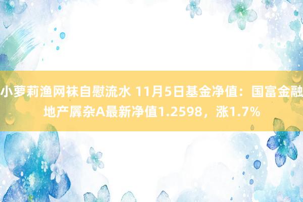 小萝莉渔网袜自慰流水 11月5日基金净值：国富金融地产羼杂A最新净值1.2598，涨1.7%