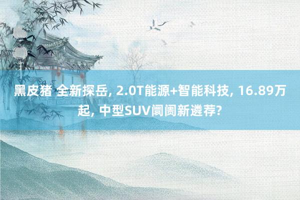 黑皮猪 全新探岳， 2.0T能源+智能科技， 16.89万起， 中型SUV阛阓新遴荐?