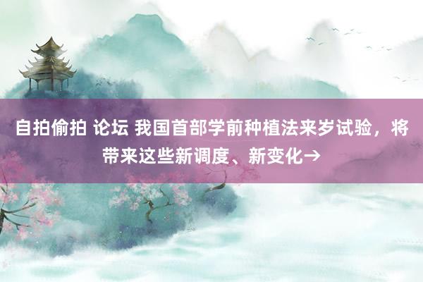 自拍偷拍 论坛 我国首部学前种植法来岁试验，将带来这些新调度、新变化→