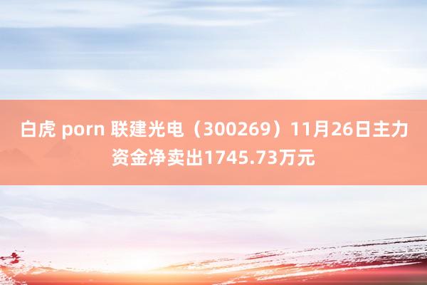 白虎 porn 联建光电（300269）11月26日主力资金净卖出1745.73万元