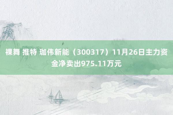 裸舞 推特 珈伟新能（300317）11月26日主力资金净卖出975.11万元