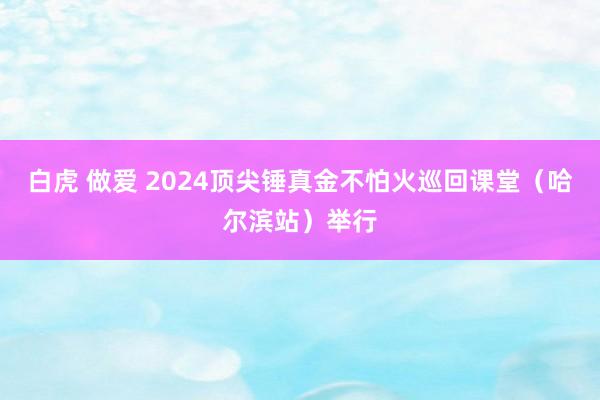 白虎 做爱 2024顶尖锤真金不怕火巡回课堂（哈尔滨站）举行