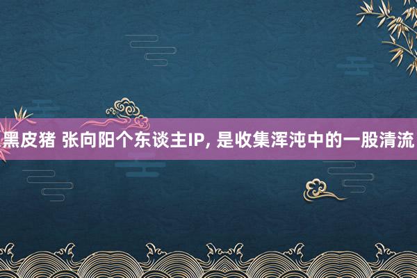 黑皮猪 张向阳个东谈主IP， 是收集浑沌中的一股清流